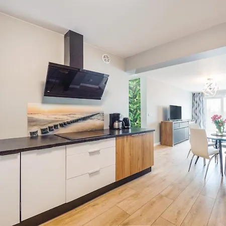 Czarna Perla Z Garazem 7 E Perlowa Przystan - *